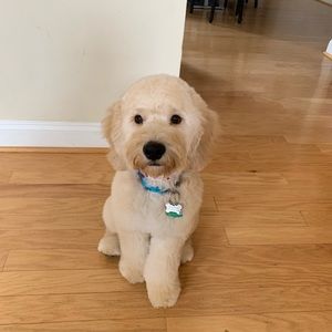 Meet your Posher, Drew